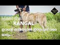 Kangal (കംഗാൾ) | Meet the Dog S02 E01