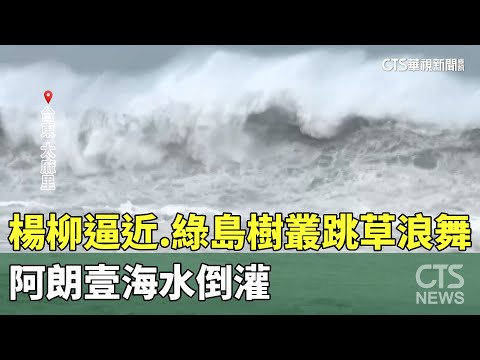 楊柳逼近　綠島樹叢跳草浪舞.阿朗壹海水倒灌