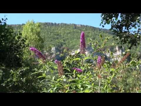 Camping Les Bords du Tarn