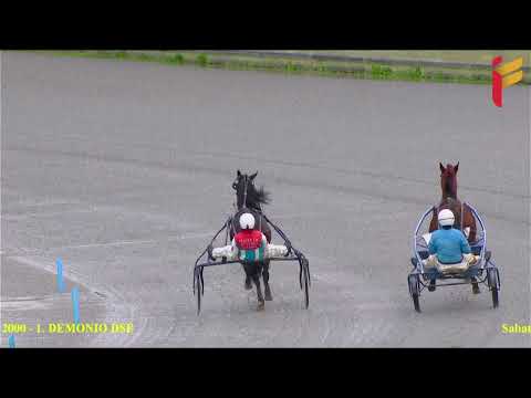 Prova di qualifica del 11 Dicembre 2021 - 2 Anni - Metri 2000