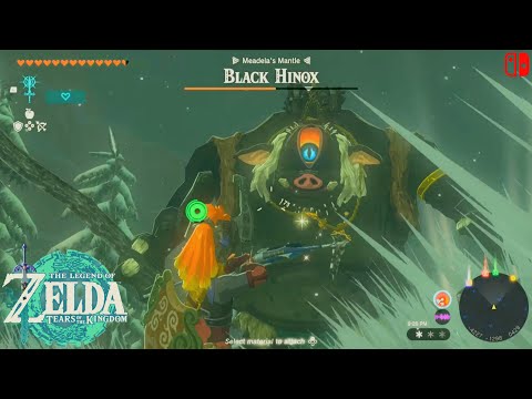 The Legend of Zelda TOTK - Defeat Black Hinox & Obtain Hinox Guts - Gerudo Highlands Snow