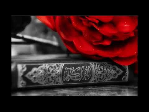 Hoxhë Rexhep Memishi - Mohimi i Tagutit ( Hoxhë AbduRrahim Balla ) 11 Sha`aban 1441 Hixhri