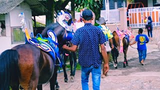 Download lagu Kuda renggong mau pulang selesai manggung #short mp3