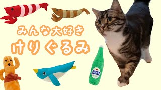 みんな大好きけりぐるみ！ 足長マンチカン まる Munchkin cat