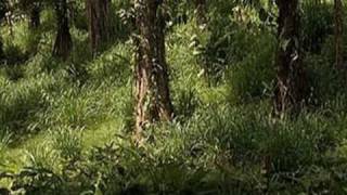 Grantchester Meadows - Pink Floyd