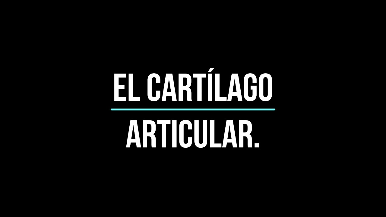 Luis Guillermo Yáñez Mejía-10