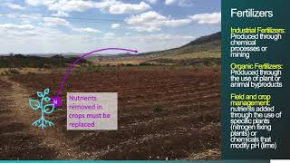 Nutrient Limitation in Agriculture
