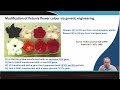 Metabolic Engineering of Anthocyanin Pathways for Novel Flower Colors