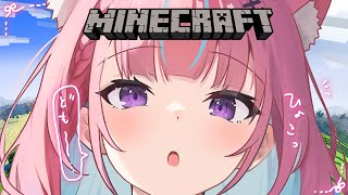 【Minecraft】地 下 帝 国 拡 大【湊あくあ/ホロライブ】