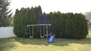 "Aphid Invasion" Northern Idaho! Millions!!!