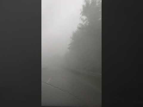 Downburst bei Koblenz, 3. Mai 2025!