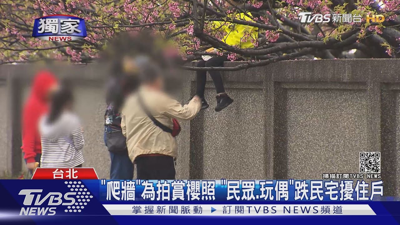 「爬牆」為拍賞櫻照 「民眾、玩偶」跌民宅擾住戶