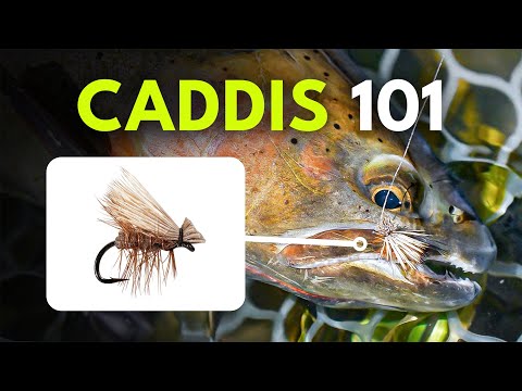 How To Match the Hatch with Caddis — Fly Selection Tips | Episode 8