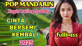 Download lagu CINTA BERSEMI KEMBALI POP MANDARIN KOPLO PALING SYAHDU 2025 mp3