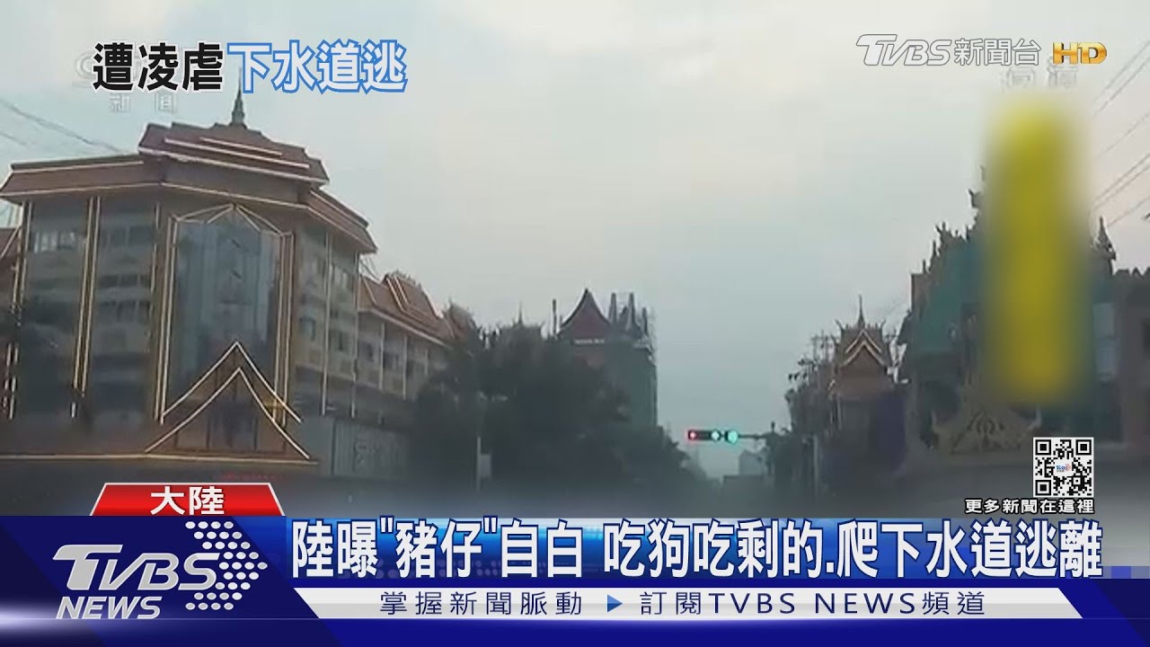 陸警方曝「豬仔」自白:被餵吃狗吃剩的! 陸勸返詐騙大軍23萬人