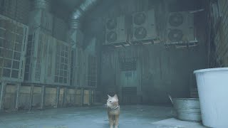 Stray初見実況10