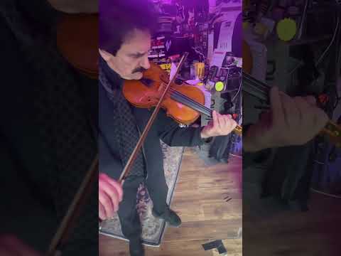 Unbranded Violin Made In Germany image 22