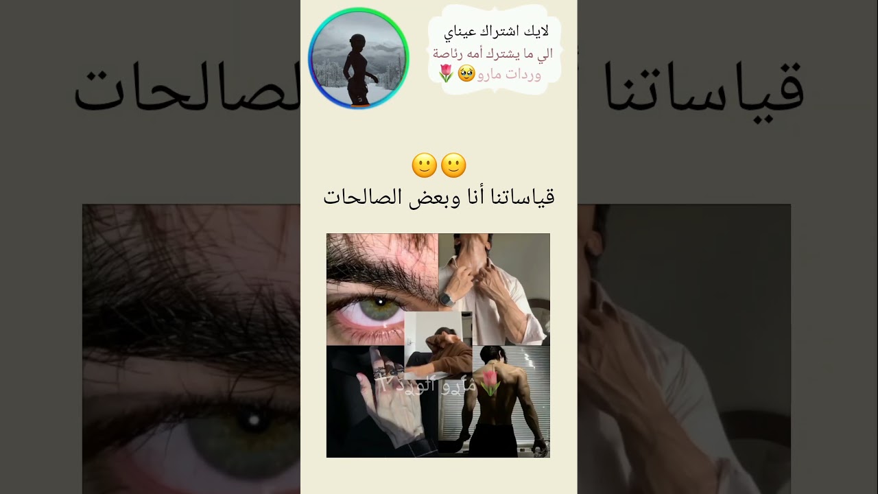 ماكو يمنا 🗿💔 #اكسبلور #مارو_الورد_ضد_الحرارة_و البرد#شلتنا #bts #اهميه #اعتني #دويتو #شلتنا #ترند