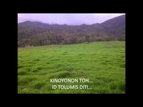 TUPUS AUH NOKOGULI   AZNOR JIPIN