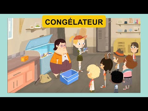 FIPA FVV #68 CONGÉLATEUR, Flapacha - Coup de froid, French Video Vocabulary (with Bonus Word)