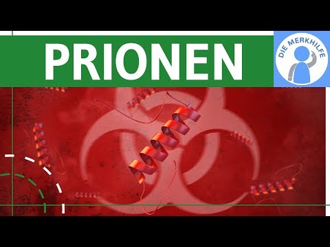 Prionen - Krankheitserreger - Proteine einfach erklärt - Schäden &amp; Anormale Konformation - Genetik