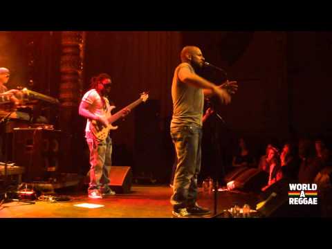 Tribute2BobMarley / Mitchel Brunnings - Stop that Train / I Shot The Sheriff @ Luxor, Arnhem (NL)