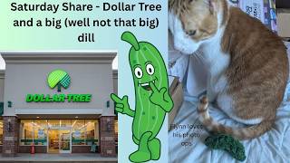 Saturday Share - Dollar Tree haul and a crochet pickle #dollartree