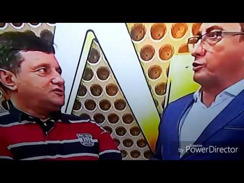 Almir Delić 1Krug ZG HD