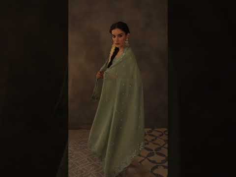 Kimora Begum Pure Organza Wholesale Designer Suits Catalog – product video thumbnail