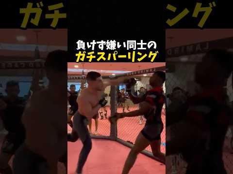 負けず嫌い同士のガチスパーリング #格闘技