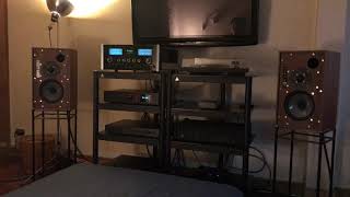 September In Montrial : Anne Bisson