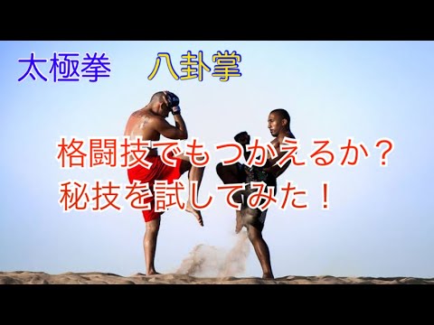 「太極拳と八卦掌の必殺技」対格闘技編。ガードを利用する攻撃とすり抜ける突き！