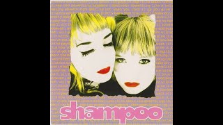 Shampoo - Paydirt