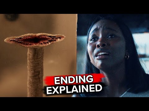 AMERICAN HORROR STORIES Season 3 Episode 3 "Tapeworm" Ending Explained