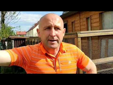 Piotr Bugała - PZHGP 0153 Ruda Śląska II / Dzień 5 - Piątek 🎉🤩💪🏆🥳