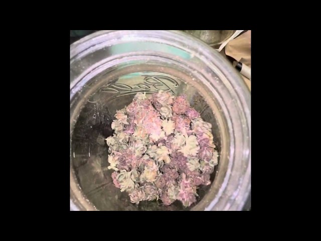 Judge.me YouTube video placeholder