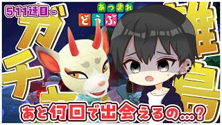 【あつ森】511回目～🛩『よしの』が本当に要るのか不安になってきた...☔【あつまれどうぶつの森】