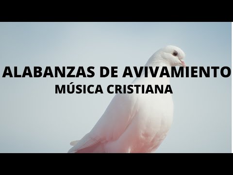 LOS MEJORES ÉXITOS CRISTIANOS PARA INICIAR TU DIA LLENO DE BENDICIÓN / ALABANZAS QUE BENDICEN TU DIA