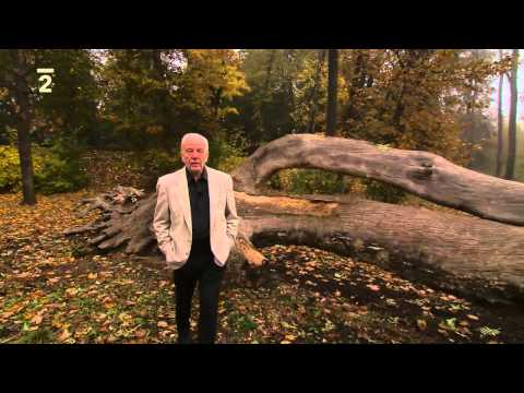 Metuzalém; Zdravé stárnutí mozku - František Koukolík