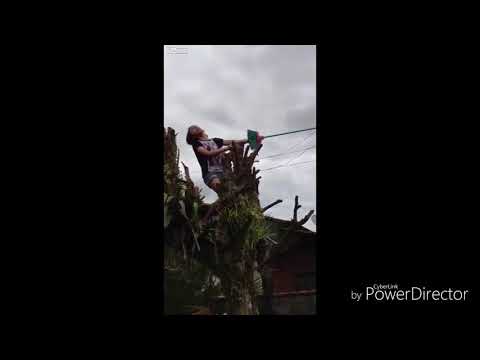 Parodia reklamy "Pracuj.pl"