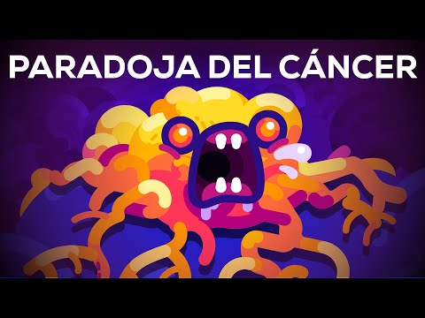 ¿Por qué las ballenas azules no tienen cáncer? La paradoja de Peto