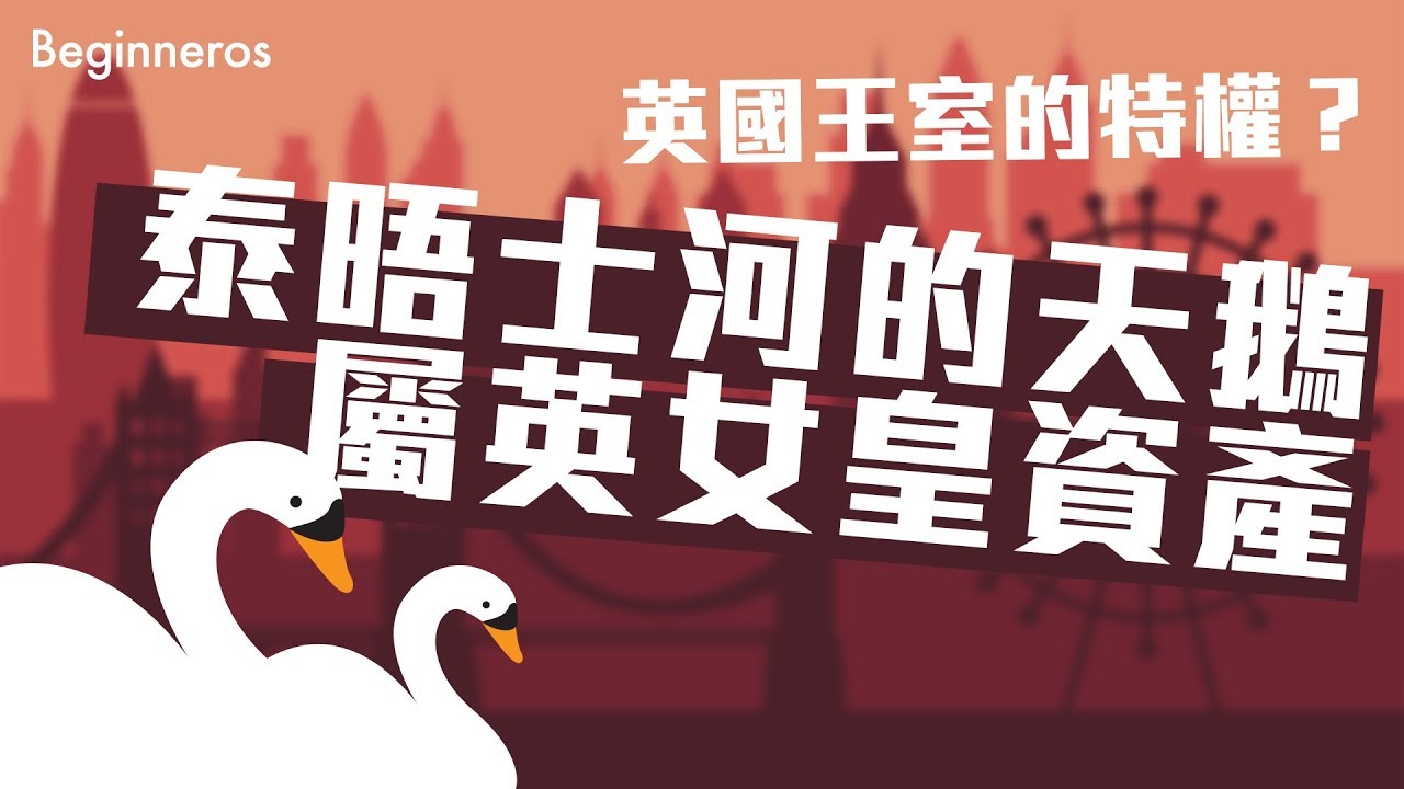 泰晤士河的天鵝屬英女皇資產
