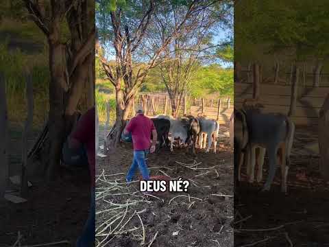 Sítio Giral de Capim Livramento Paraíba
