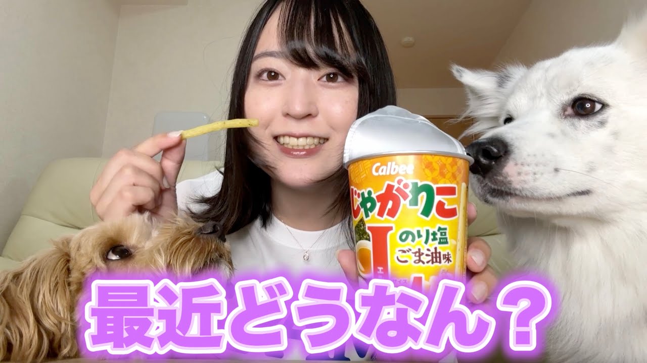 【ゆるっと雑談】じゃがりこをポリポリしながら最近を語る