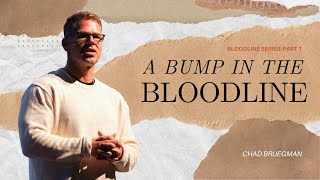 A Bump in the Bloodline | Chad Bruegman
