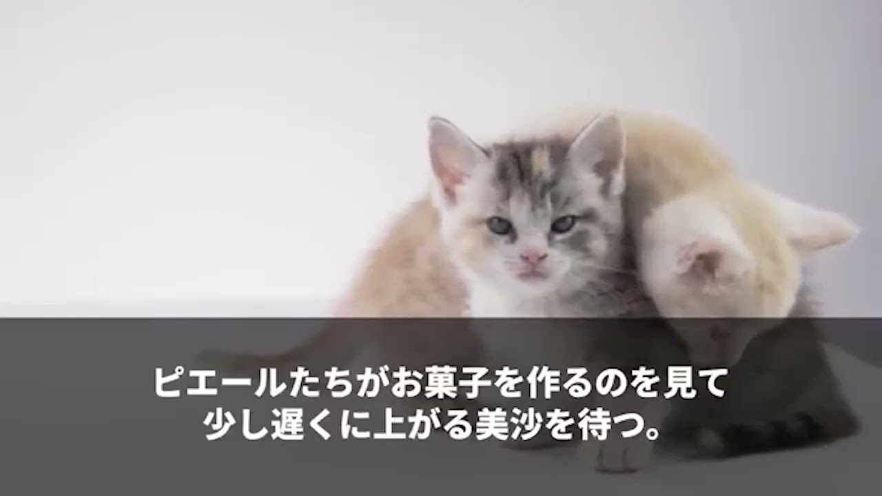 済み　感動総集編CF 1462