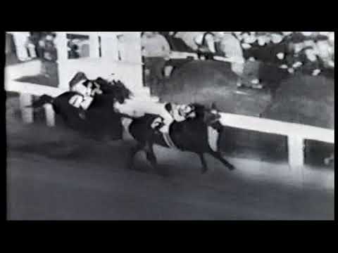 1938 Seabiscuit vs. War Admiral - match race