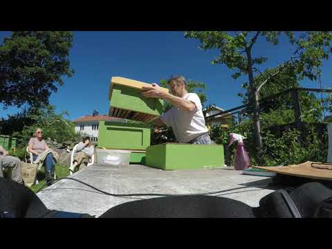 Bi kurs P4 Invintring och honungsskörd 2021 06 13