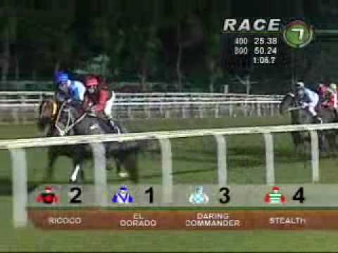 MANDAI CLASSIC STAKES 25/09/09 - RICOCO