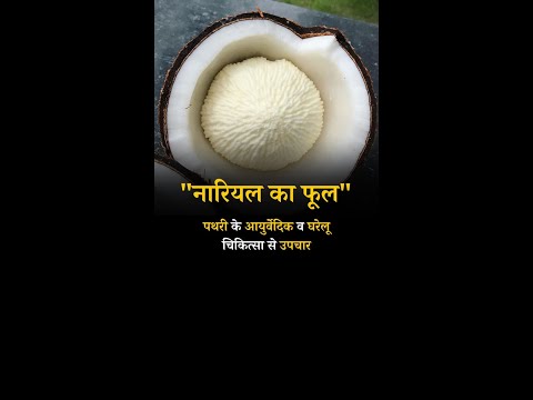 Treatment of stones With Ayurveda and Home remedies Coconut Flower #kidnystones #kidny #shorts